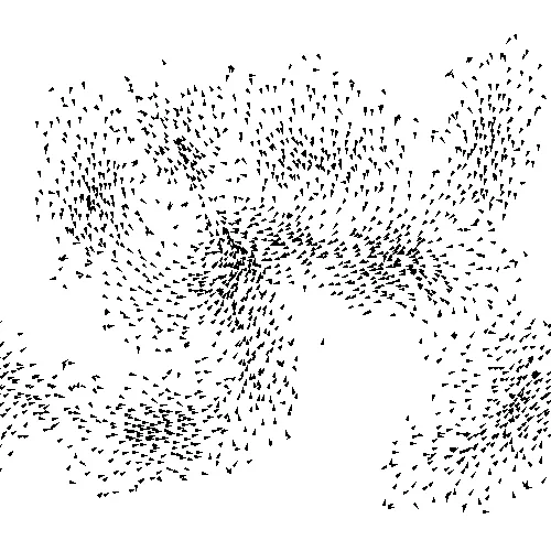 The Boids model offers a simple mechanistic understanding of murmurations.