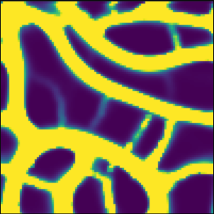 How can slime molds compute shortest paths?