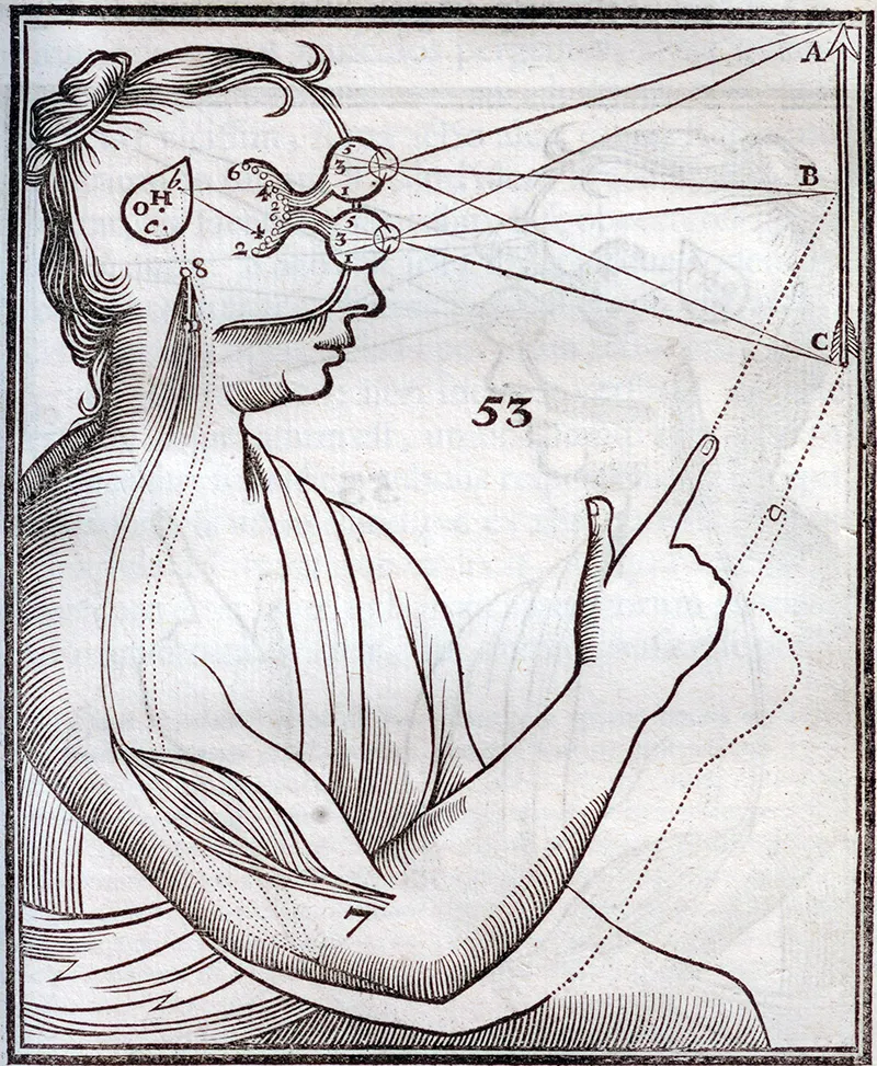 Descartes’ theory of vision (Tractatus de Homine, 1677), illustrating an early mechanistic view of perception